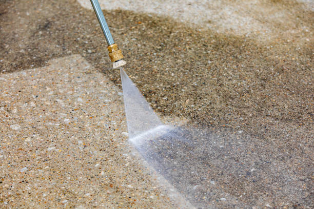 Best Soft Washing  in Fox Lake, WI